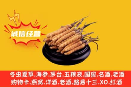 滨州市邹平回收冬虫夏草